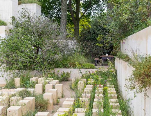 chelsea flower show