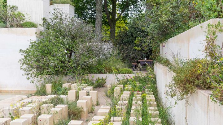 chelsea flower show