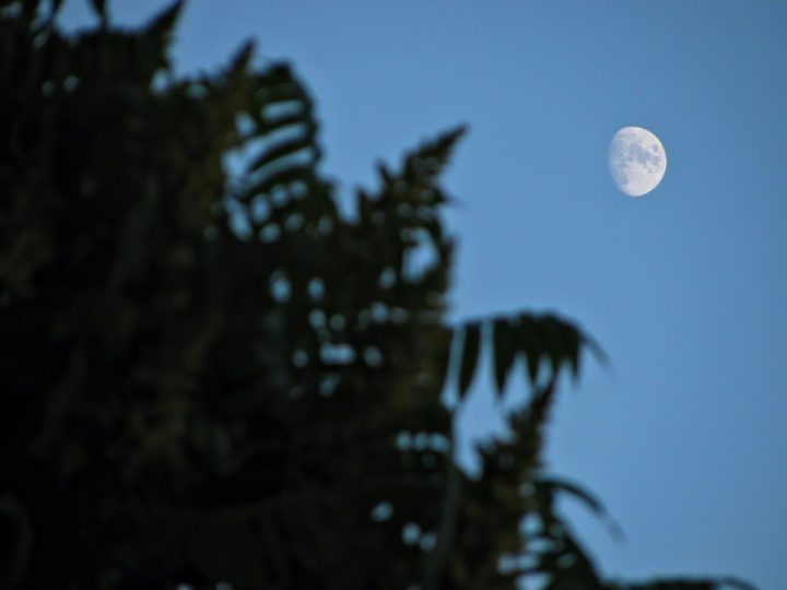 calendário lunar de maio