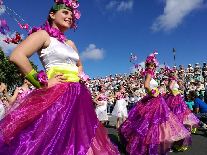 festa da flor