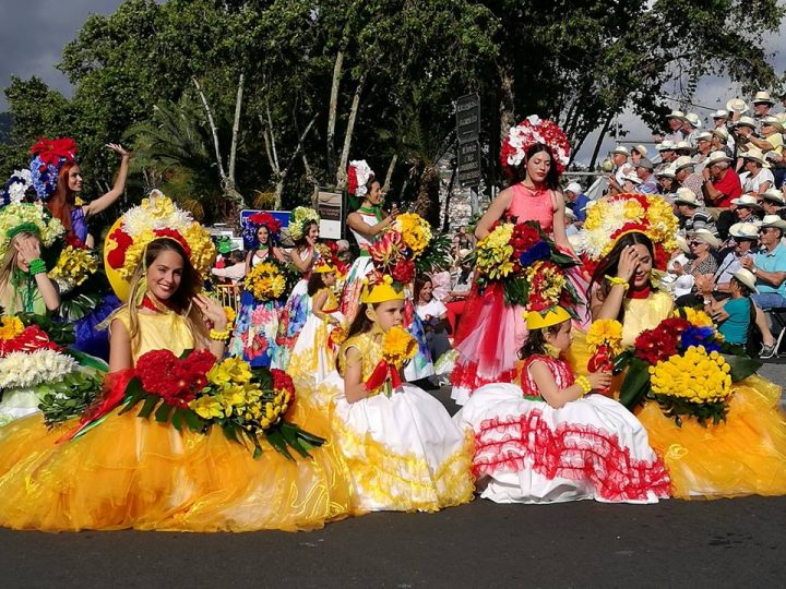 festa da flor