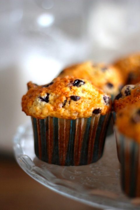 muffins de mirtilos