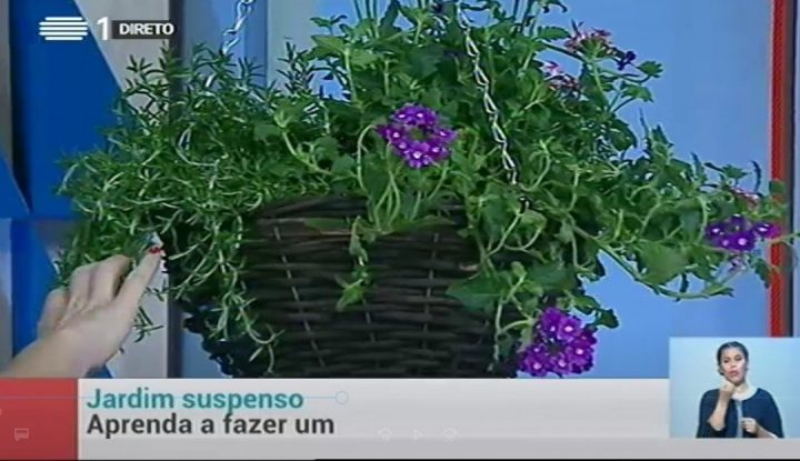 jardim suspenso