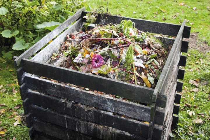 compostagem caseira