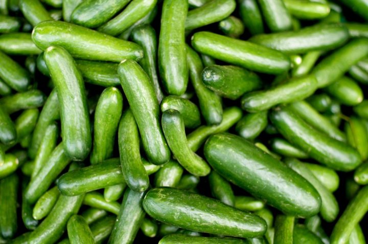 do pepino
