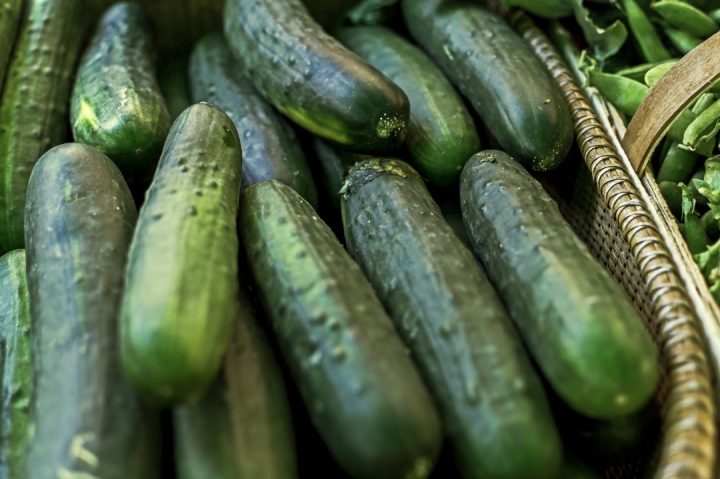 pepino