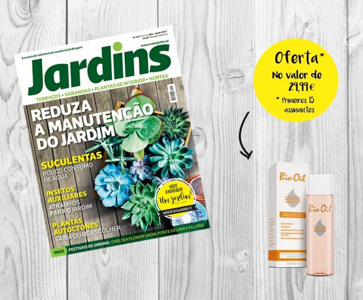 a revista