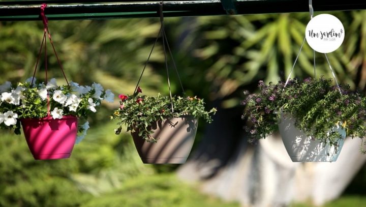 jardim suspenso