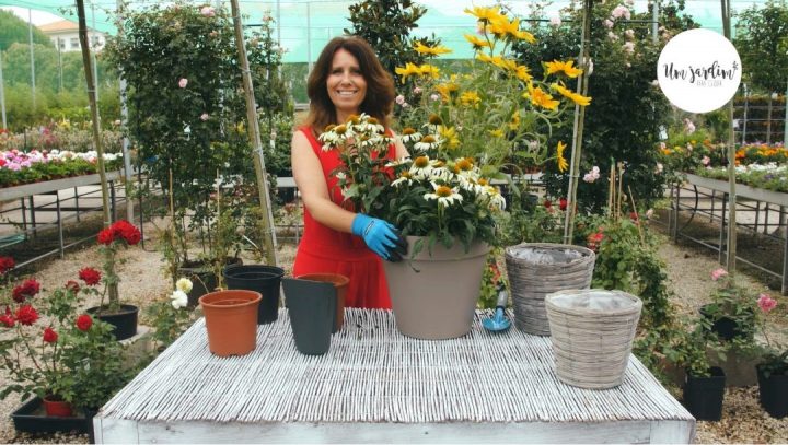 flores exuberantes