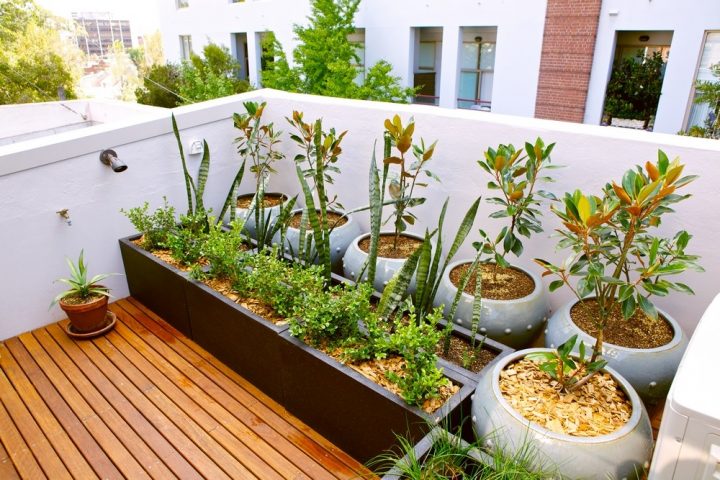 ambiente tropical
