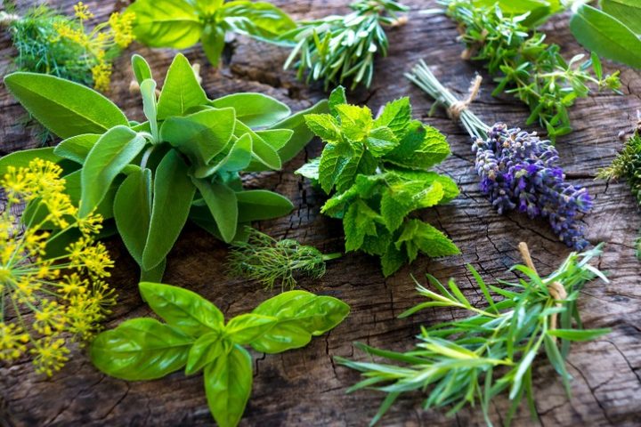 4 aromáticas
