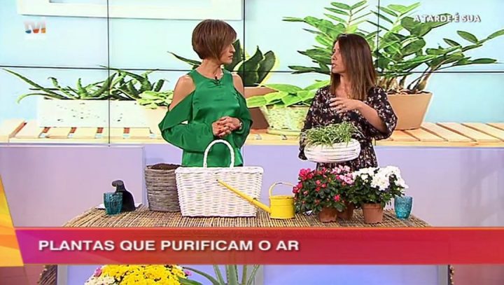 Purificam a casa