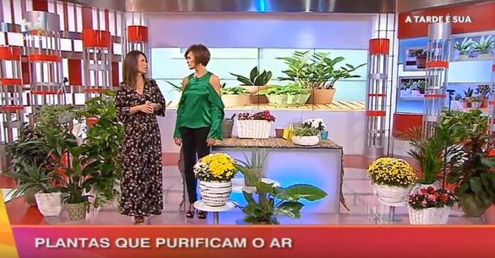 Purificam o ar