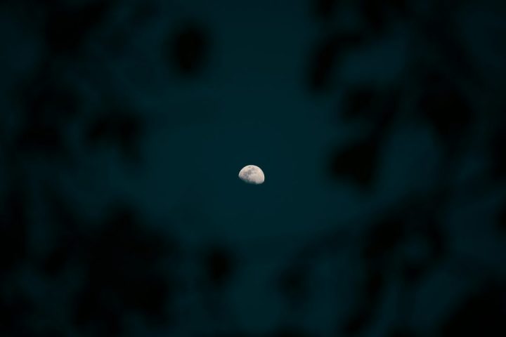 calendário lunar de fevereiro