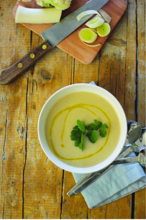 sopa