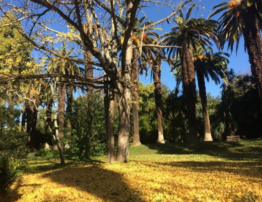 Jardim Botânico Tropical