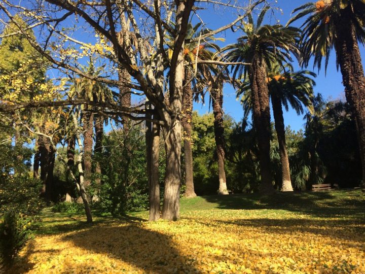 Jardim Botânico Tropical
