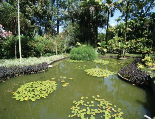 burle marx