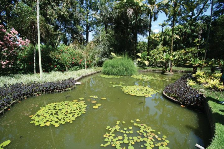 burle marx