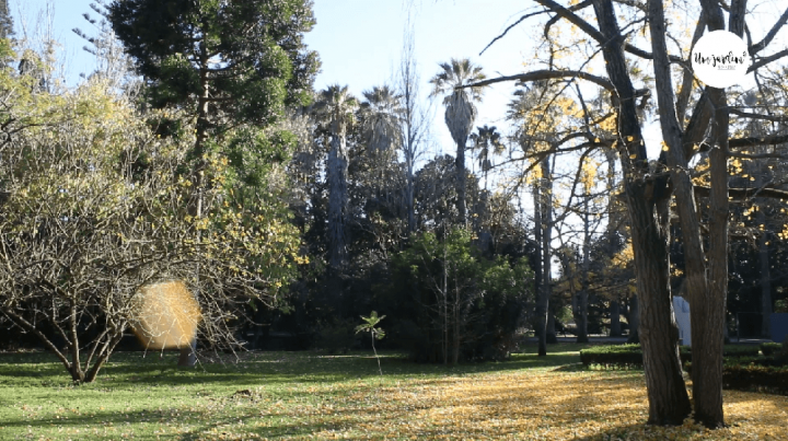 Jardim Botânico Tropical