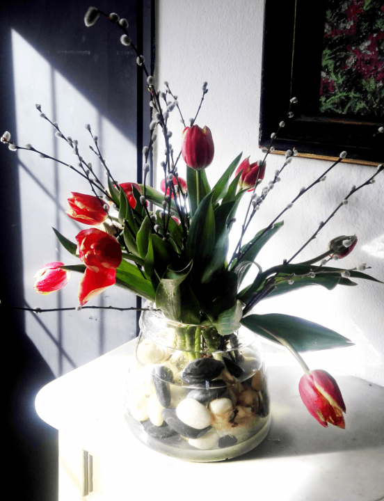 inverno florido