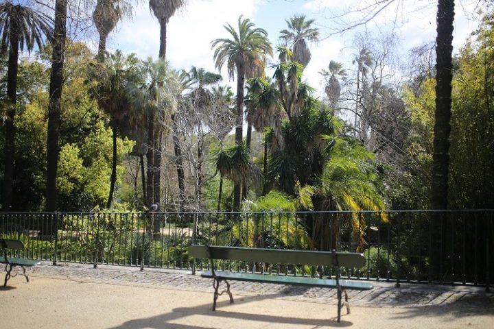 jardim botânico de lisboa