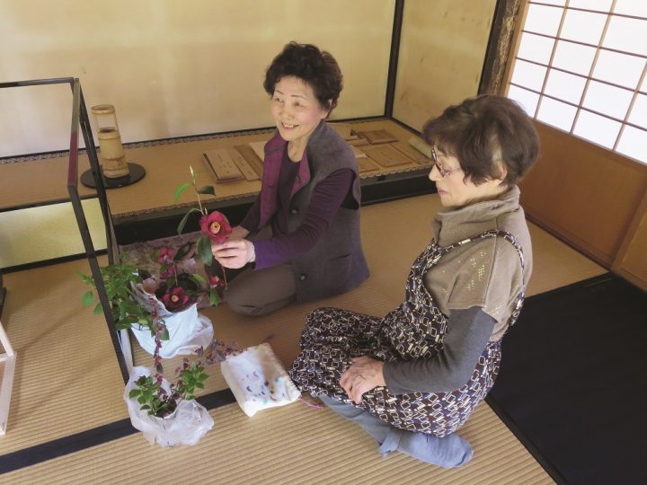 Fazendo um Ikebana