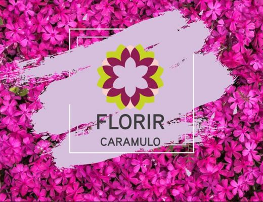 florir caramulo