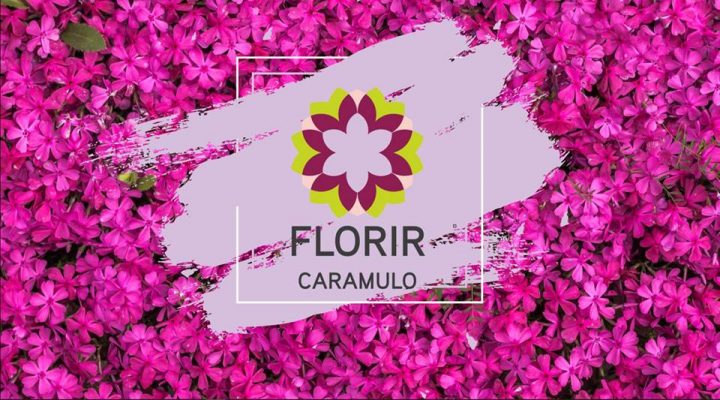florir caramulo