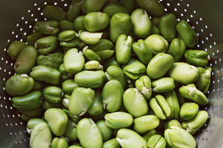 fava