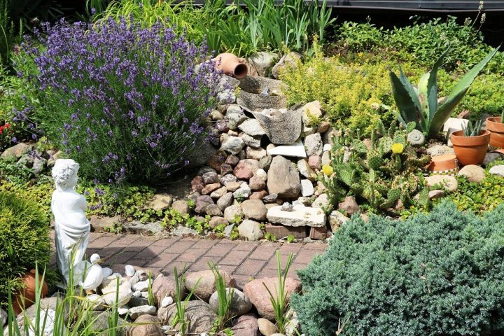rock garden