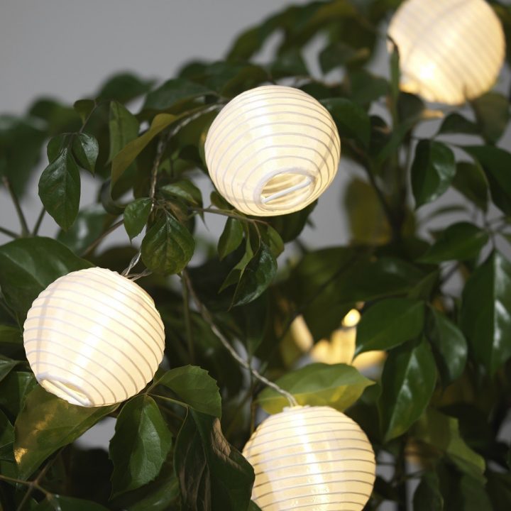 luz