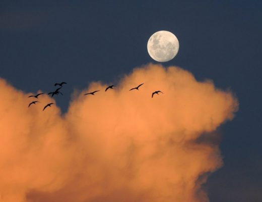 calendário lunar de julho