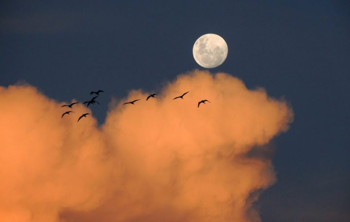 calendário lunar de julho