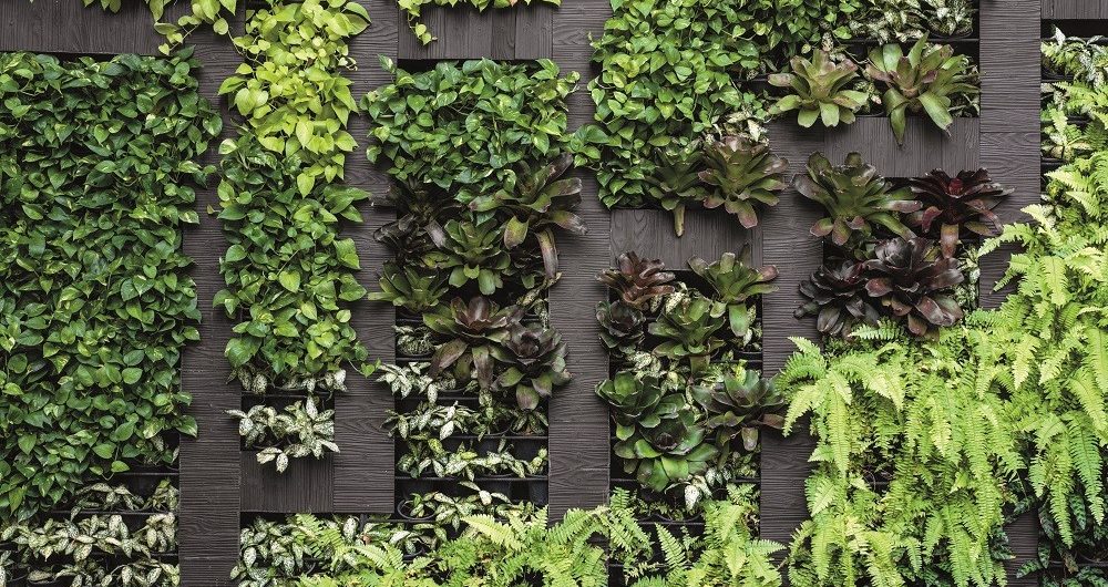 jardins verticais