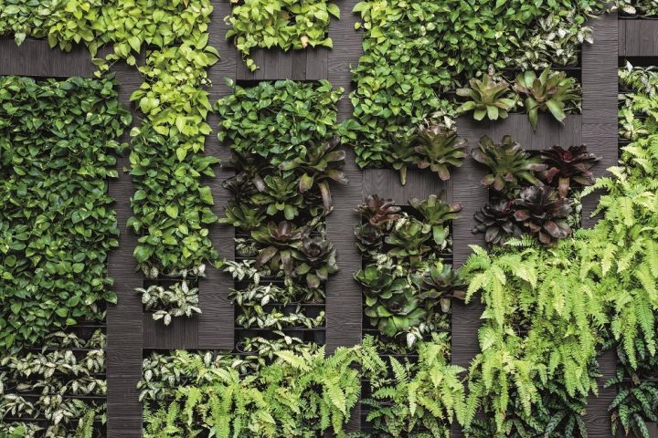 jardins verticais