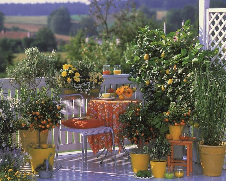terraço