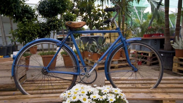 bicicleta