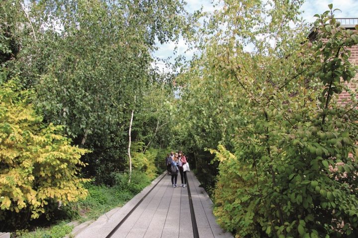 high line