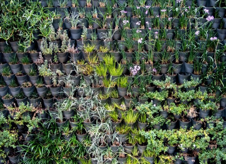 jardim vertical