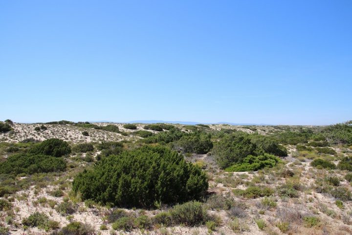 paisagem alentejana