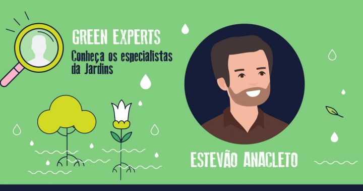 estevão anacleto