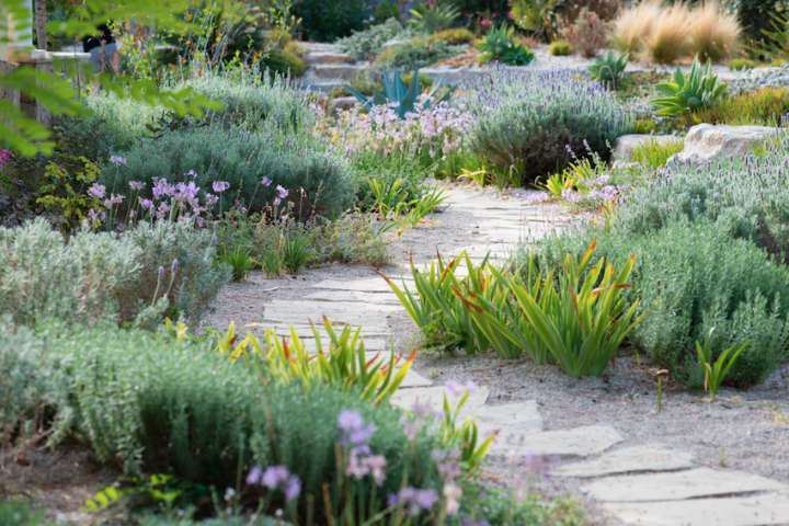 Jardim depois com flores