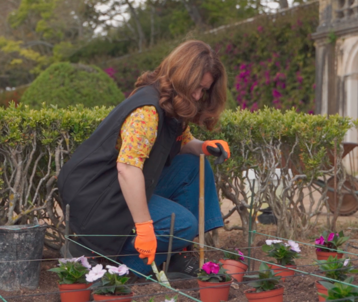 12 Meses nos Jardins: Como Cultivar Flores de Época
