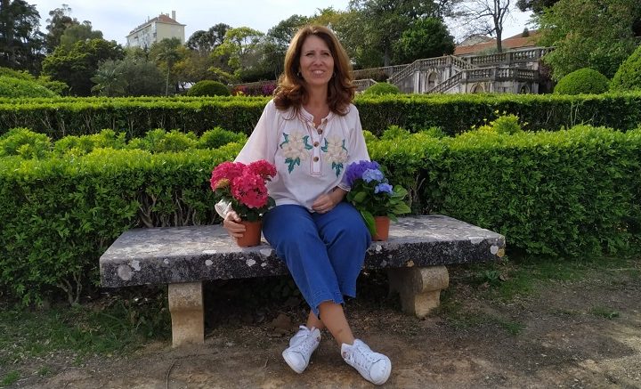 12 Meses Nos Jardins: Aprenda a Cultivar Hortênsias