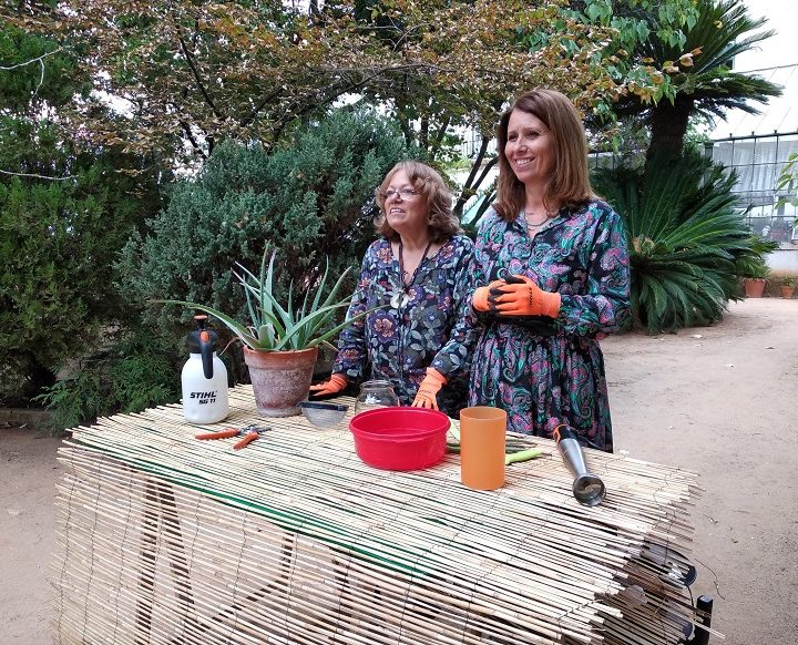 12 Meses Nos Jardins: O Guia dos Catos e Suculentas