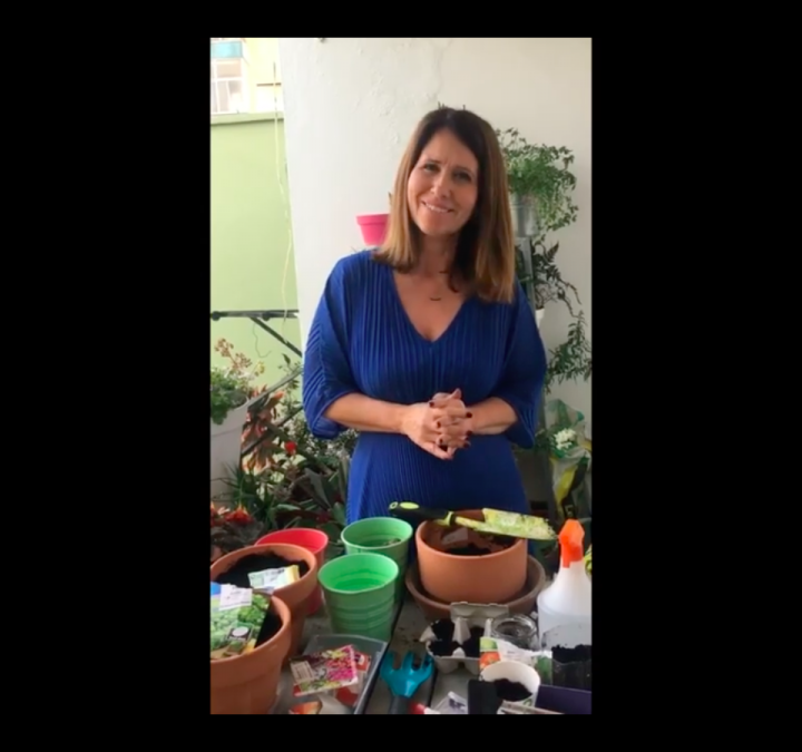 Jardinar em Casa #2: Sementeiras