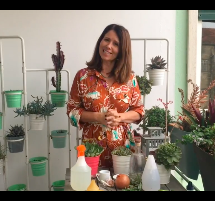 Jardinar em Casa #3: Combater Pragas das Plantas