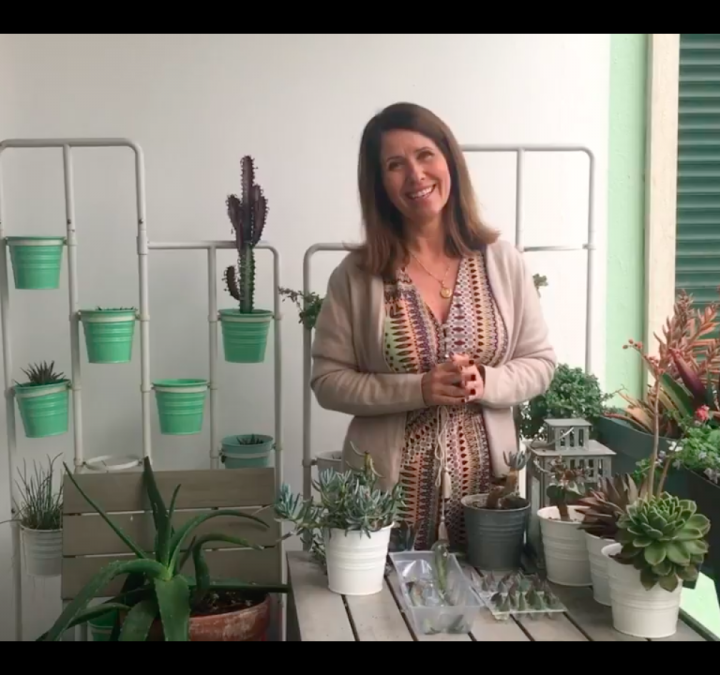 Jardinar em Casa #4: Como Fazer um Berçário de Plantas Suculentas