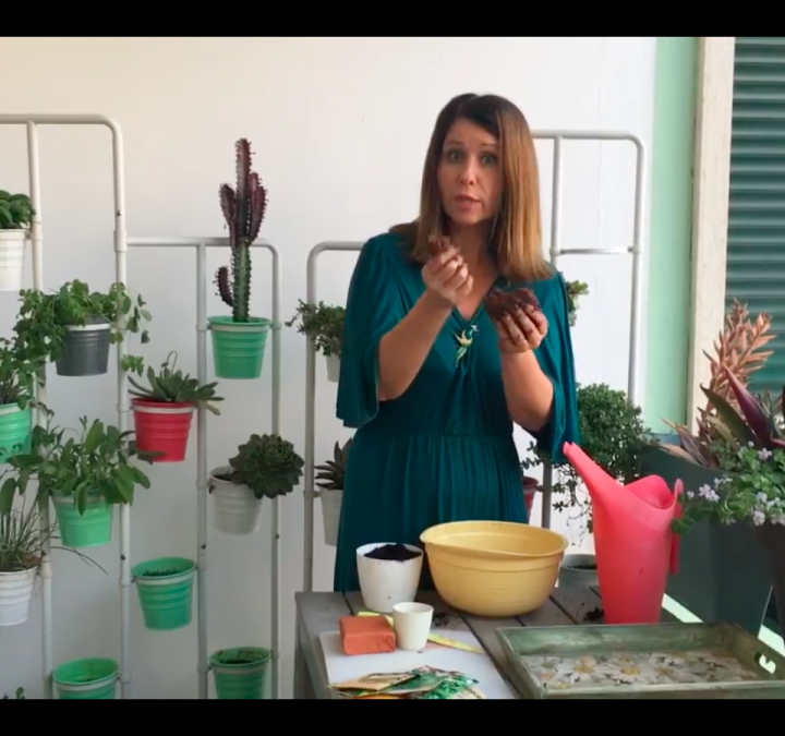 Jardinar em Casa #7: Como Fazer Bombas de Sementes